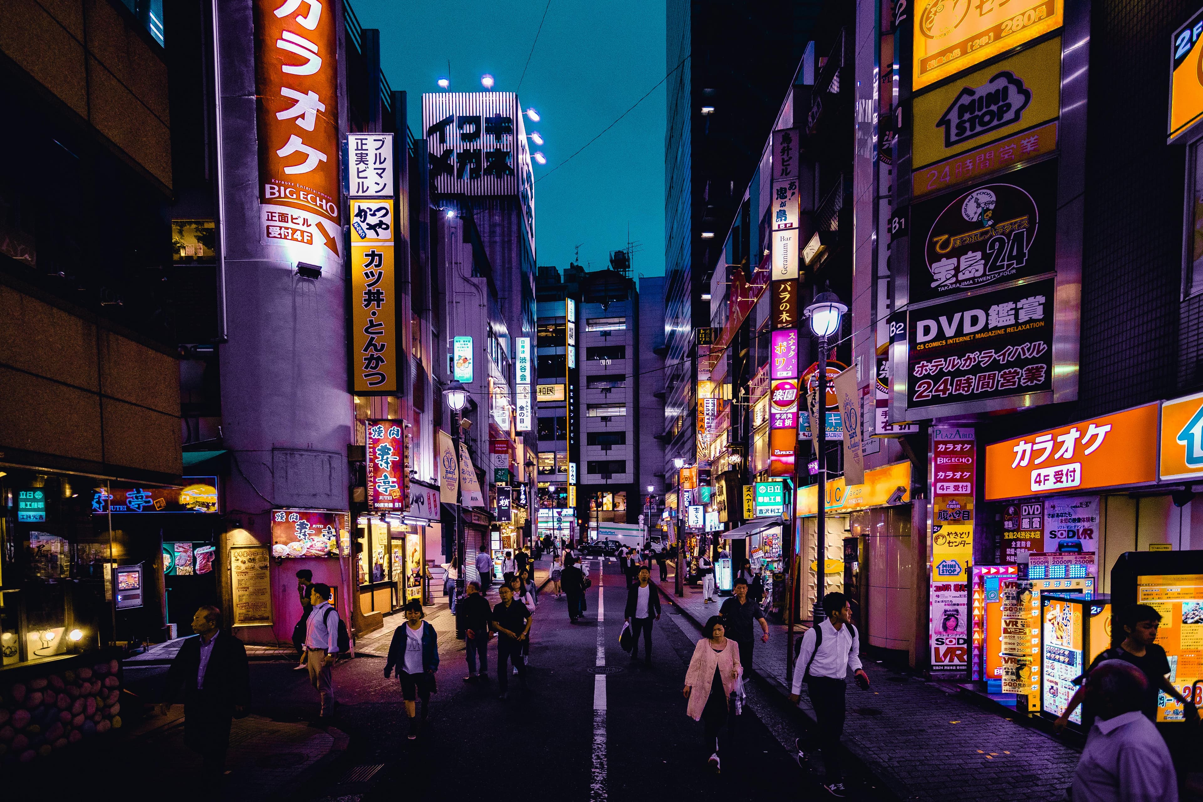 Japan Cherry Blossom Tour